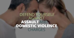 DEFENDYOURSELFAGAINSTDOMESTIC VIOLENCE CHARGES-Bienenfeld