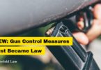 NEW Gun Control Measures In New York Just Became Law
